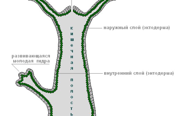 Как зайти на кракен браузеры