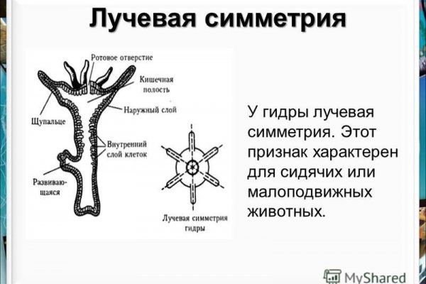 Кракен сайт ссылка настоящая kraken11